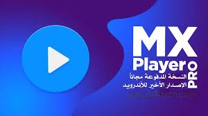 téléchargement - 2025-05-04T224147.856